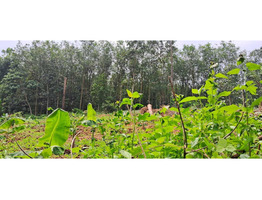 25 cent land   for Sale Thodupuzha,idukki District