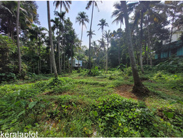 33 cent land sale at Thachottukavu(Near Peyad),Thiruvanthapuram District