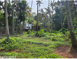 33 cent land sale at Thachottukavu(Near Peyad),Thiruvanthapuram District