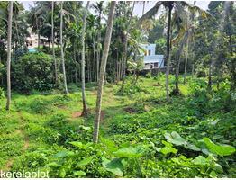 33 cent land sale at Thachottukavu(Near Peyad),Thiruvanthapuram District