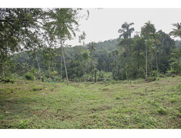 1 Acre 50 cent Residential plot sale at Cheriyanthi mukku,Pathanamthitta District