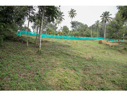 1 Acre 50 cent Residential plot sale at Cheriyanthi mukku,Pathanamthitta District