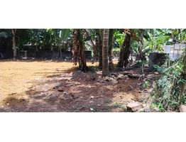 20 cents Residential land sale near by Chingavanam,Kottayam District