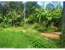 33 Cent Land For sale Near By Kannur Blathur