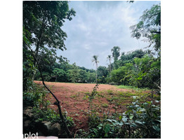 50 Cent land for sale near by  Kongad,ezhakkad