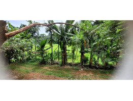 50 Cent land for sale near by  Kongad,ezhakkad