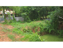 50 Cent land for sale near by  Kongad,ezhakkad