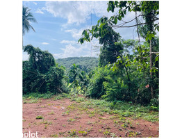 50 Cent land for sale near by  Kongad,ezhakkad