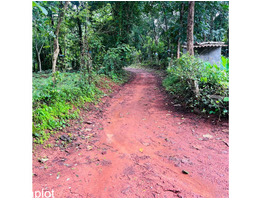 50 Cent land for sale near by  Kongad,ezhakkad