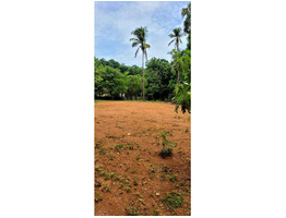 50 Cent land for sale near by  Kongad,ezhakkad