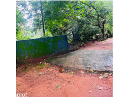 50 Cent land for sale near by  Kongad,ezhakkad