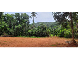 50 Cent land for sale near by  Kongad,ezhakkad