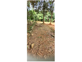 50 Cent land for sale near by  Kongad,ezhakkad