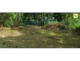 26 cent residential land for sale near by  Oachira Railway Station