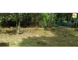 26 cent residential land for sale near by  Oachira Railway Station