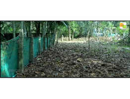 26 cent residential land for sale near by  Oachira Railway Station