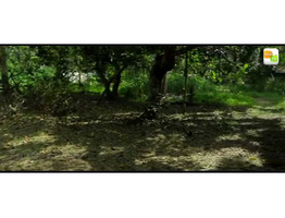 26 cent residential land for sale near by  Oachira Railway Station