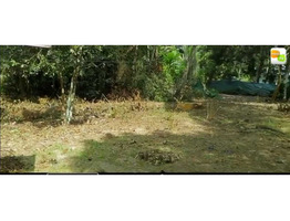 26 cent residential land for sale near by  Oachira Railway Station