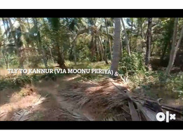 Residential Land for Sale in Pinarayi, Thalassery, Kannur