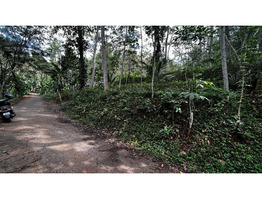 17 Cent Residential Land For Sale Near By   Vellarada, Mulliavuvila