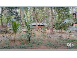 20 Cent Residential Land For Sale Near by  Payyanur Punchakkad Rc Church