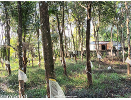 72 cents of land with rubber plantation at Thiruvanchoor, Kottayam District