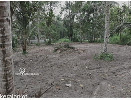 Residential Land for Sale in Haripad