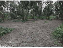 Residential Land for Sale in Haripad