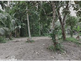 Residential Land for Sale in Haripad