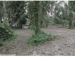 Residential Land for Sale in Haripad