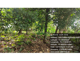 51 Cent Land For Sale Near By Chalakkudy,Annanad,Thrissur District