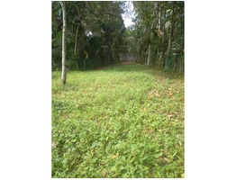 45 CENT LAND FOR SALE SALE NEAR BY Olakettiambalam,Orthodox Church