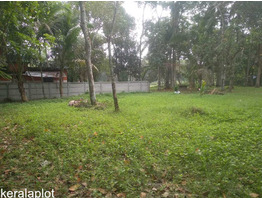 45 CENT LAND FOR SALE SALE NEAR BY Olakettiambalam,Orthodox Church