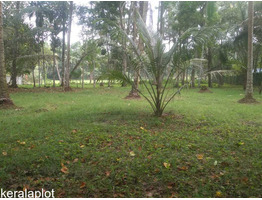 45 CENT LAND FOR SALE SALE NEAR BY Olakettiambalam,Orthodox Church