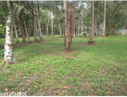 45 CENT LAND FOR SALE SALE NEAR BY Olakettiambalam,Orthodox Church