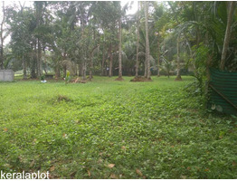 45 CENT LAND FOR SALE SALE NEAR BY Olakettiambalam,Orthodox Church