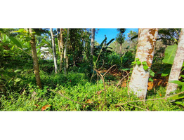 15 cent  land for sale Near By Kothamangalam,Nellimattom MBITS college