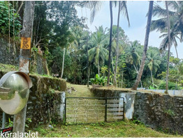 43 cents of Prime Residential Land for Sale in the Heart of Malappuram Municipality