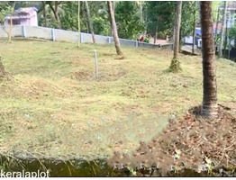 43 cents of Prime Residential Land for Sale in the Heart of Malappuram Municipality