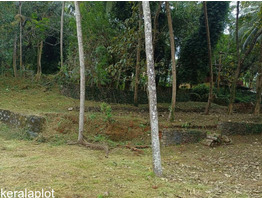 43 cents of Prime Residential Land for Sale in the Heart of Malappuram Municipality