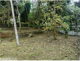 43 cents of Prime Residential Land for Sale in the Heart of Malappuram Municipality