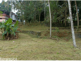 43 cents of Prime Residential Land for Sale in the Heart of Malappuram Municipality