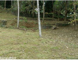 43 cents of Prime Residential Land for Sale in the Heart of Malappuram Municipality