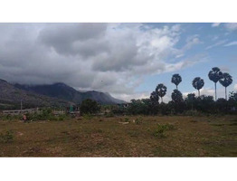 1.38 Acre land for sale near by kanjikode,Pudussery West village,Palakkad District