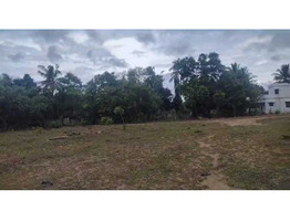 1.38 Acre land for sale near by kanjikode,Pudussery West village,Palakkad District