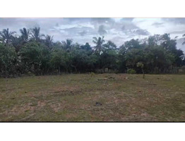 1.38 Acre land for sale near by kanjikode,Pudussery West village,Palakkad District