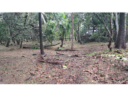 6 Residential Plots For Sale Near By Anchal,Kollam District