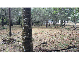 6 Residential Plots For Sale Near By Anchal,Kollam District