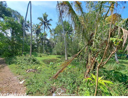 83 cent land for sale near Mararikulam.