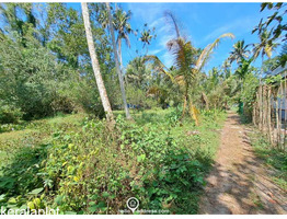 83 cent land for sale near Mararikulam.